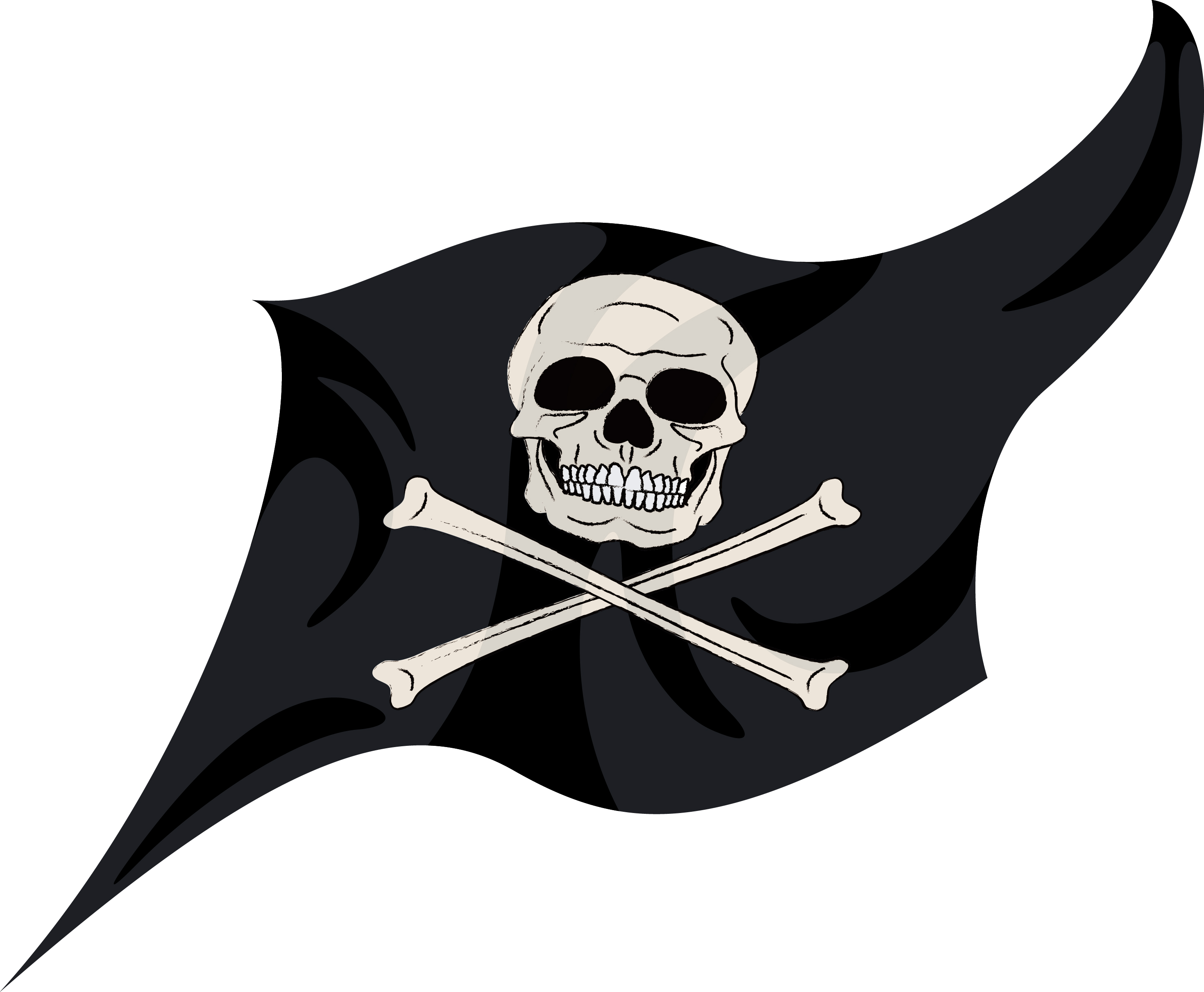 ルフィは毒に強い？　でも、疫災弾の病原体には…｜ワンピース考察用イラスト　海賊旗